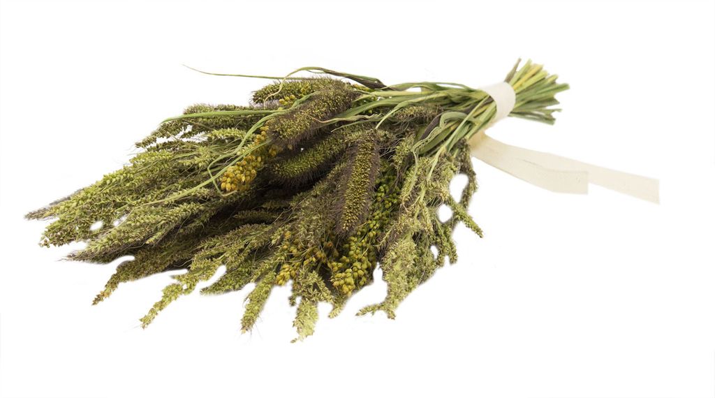JR Farm Knabber - Potpourri 50g
