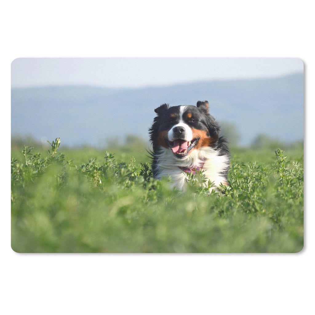 MuchoWow Mauspad Mousepad Ein Berner Sennenhund im hohen Gras 27x18 cm - Mousepads - Maus Mat - Pad - Mausunterlage - Büroartikel - Desk Matten