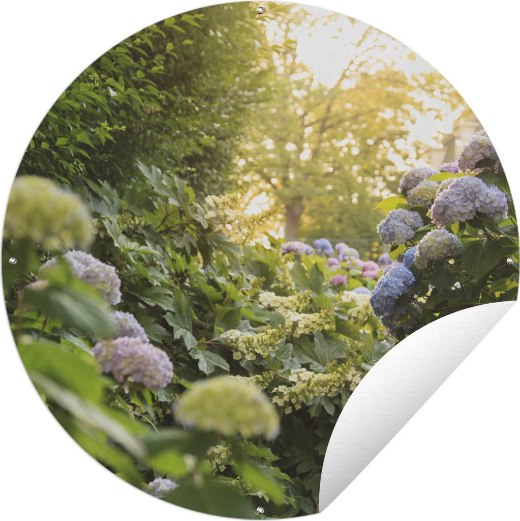 MuchoWow Gartenposter Outdoor-Poster Rund Gelbe Hortensien im Garten Ø 90 cm Gartendeko Rundes Poster draußen