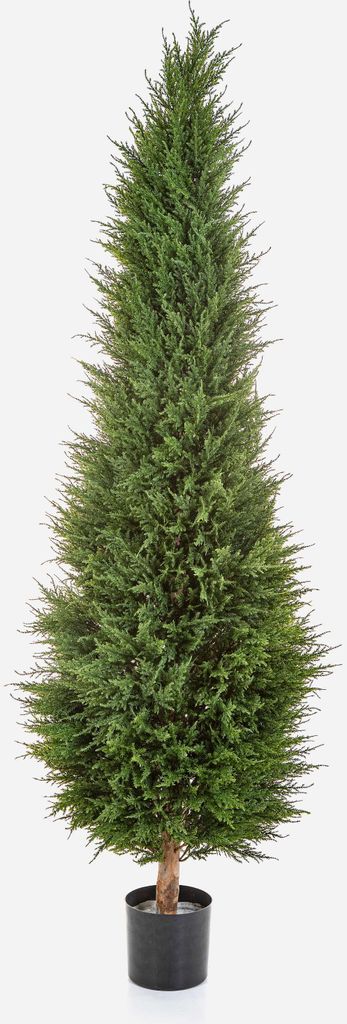 artplants.de Deko Zypresse MEKBUDA, grün, 180cm - Künstlicher Zeder