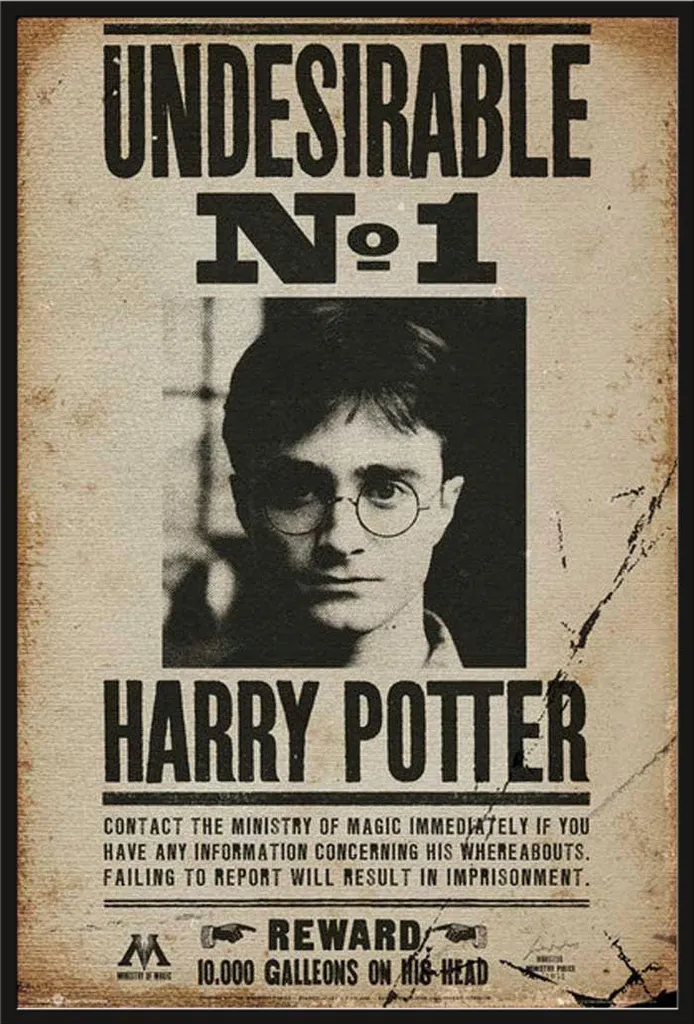 Affiche Harry Potter Undesirable No 1 avec Cadre Plastique et Vitre Acrylique