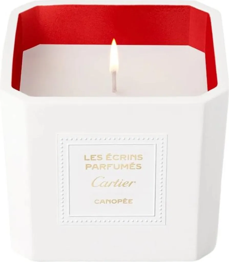 Bougie Cartier Les Écrins Canopée 220g pour Ambiance Zen et Chic