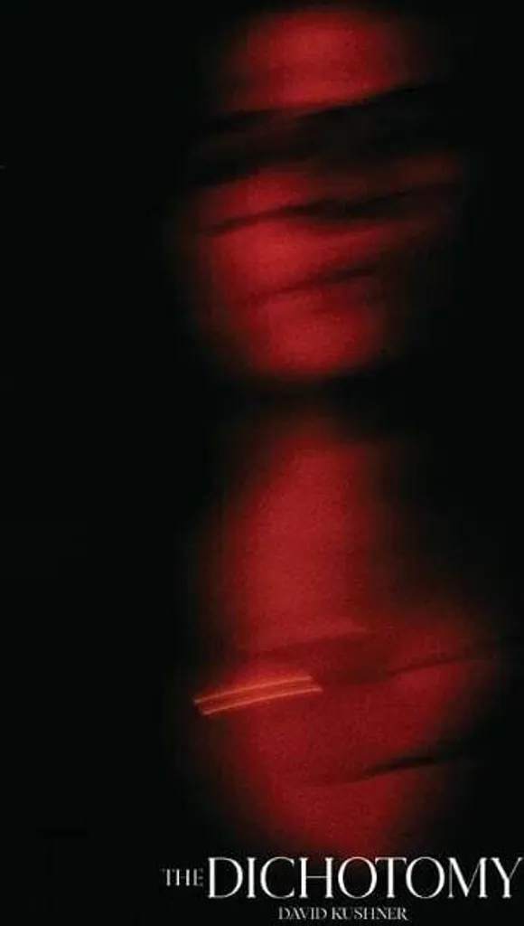 Vinyle David Kushner The Dichotomy 2 LP l'album physique sans compression