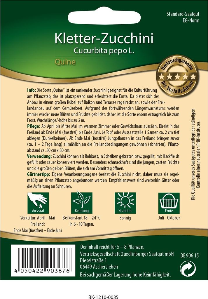 Kletterzucchini Quine Produktbild 