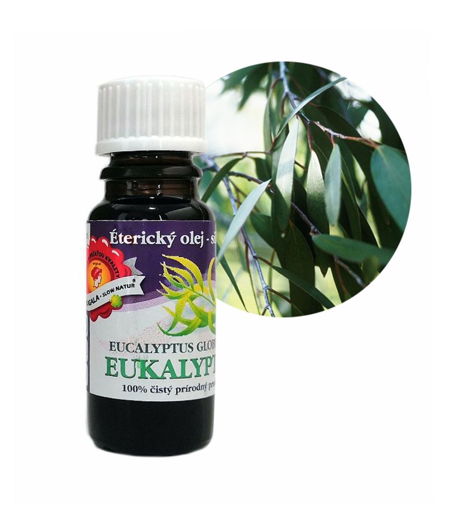 Ätherisches öl Eukalyptusöl 10 ml