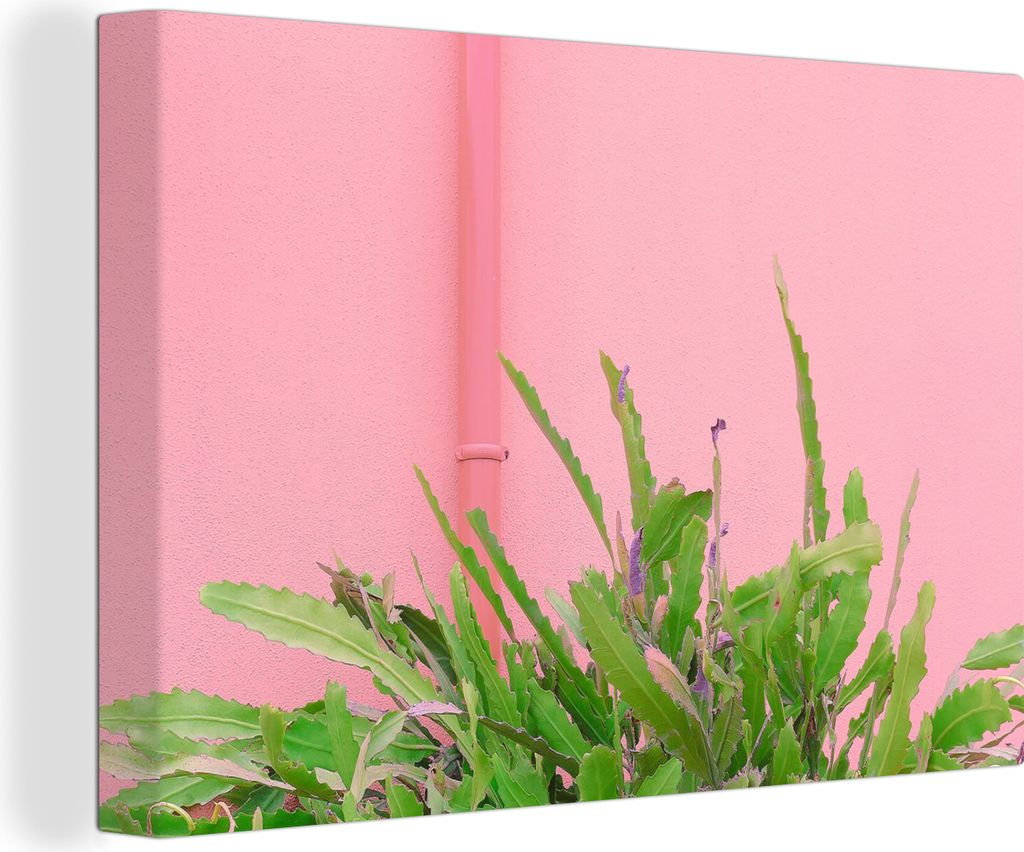 OneMillionCanvasses - Leinwandbilder - 150x100 cm, Pflanze - Sommer - Rosa, Wandbilder Kunstdruck Wanddekoration - Foto auf Leinwand - Gemälde a...