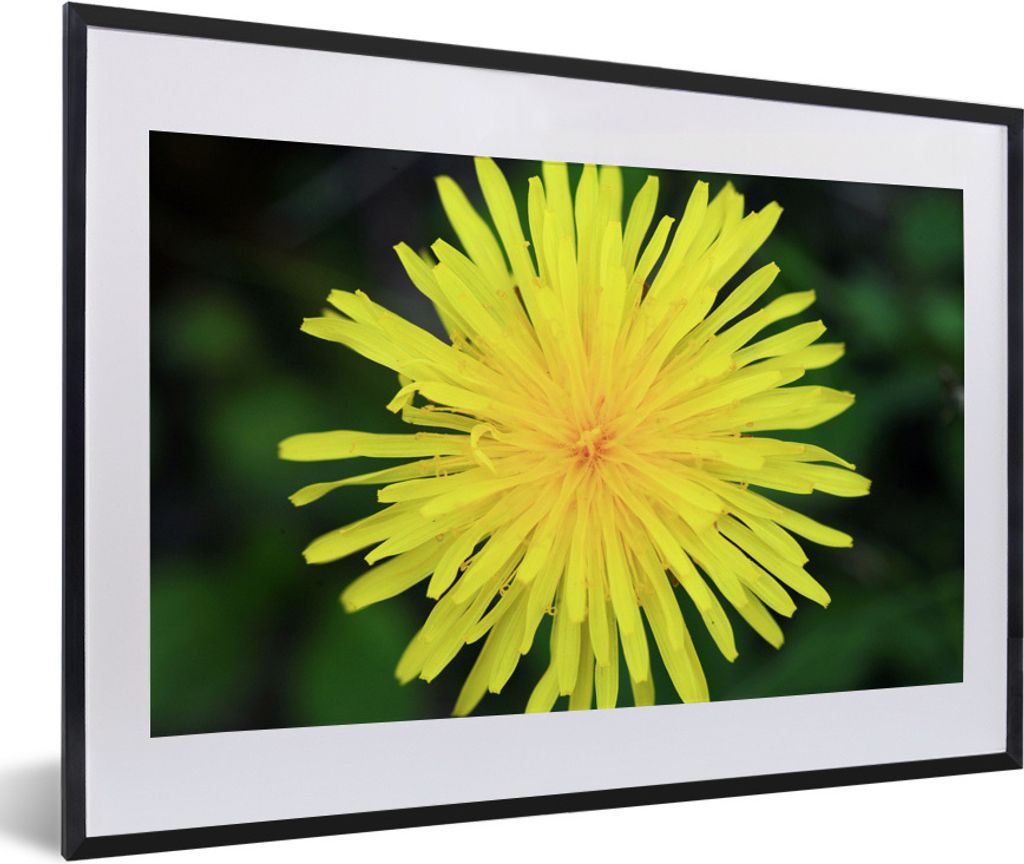 MuchoWow Gerahmtes Poster Makro - Sonnenblume - Gelb 60x40 cm - Poster mit Schwarzem Bilderrahmen Wandposter Rahmen Foto Bilder - Schlafzimmer - ...