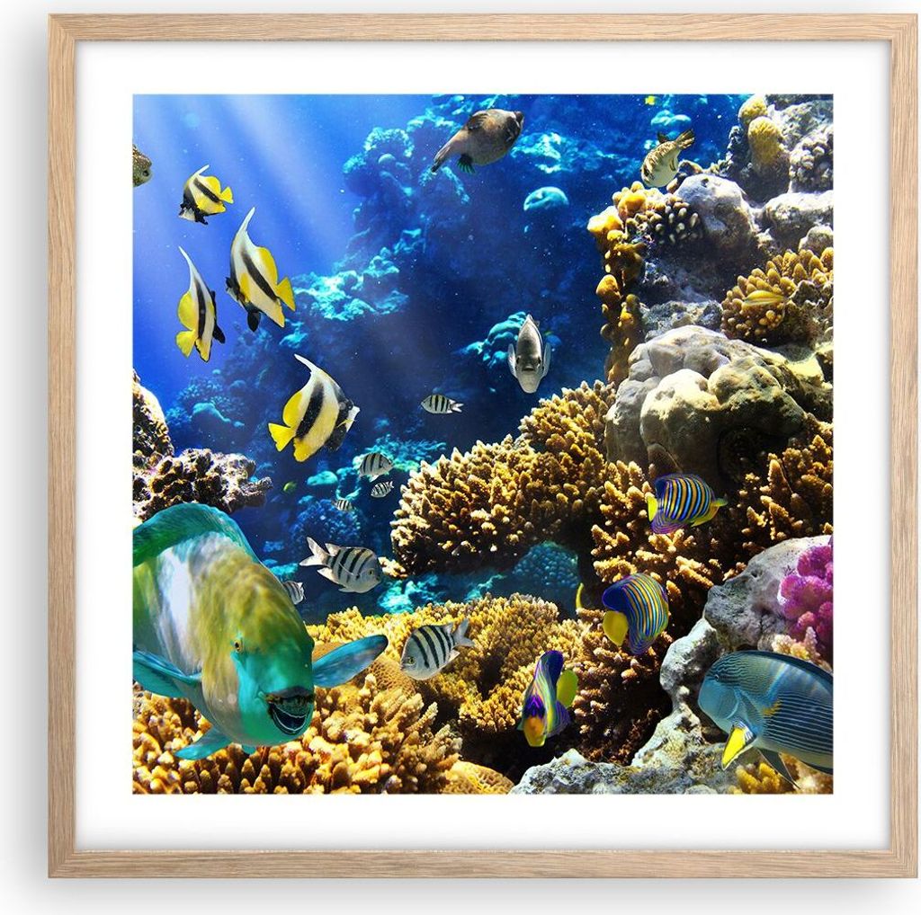 Gerahmtes Poster - Rahmen in heller Eiche - Korallenriff Ozean Krabbe Fisch - 50x50 cm - Wand Bild - Wanddeko - Wandbilder - Wandposter - Bilderrah...