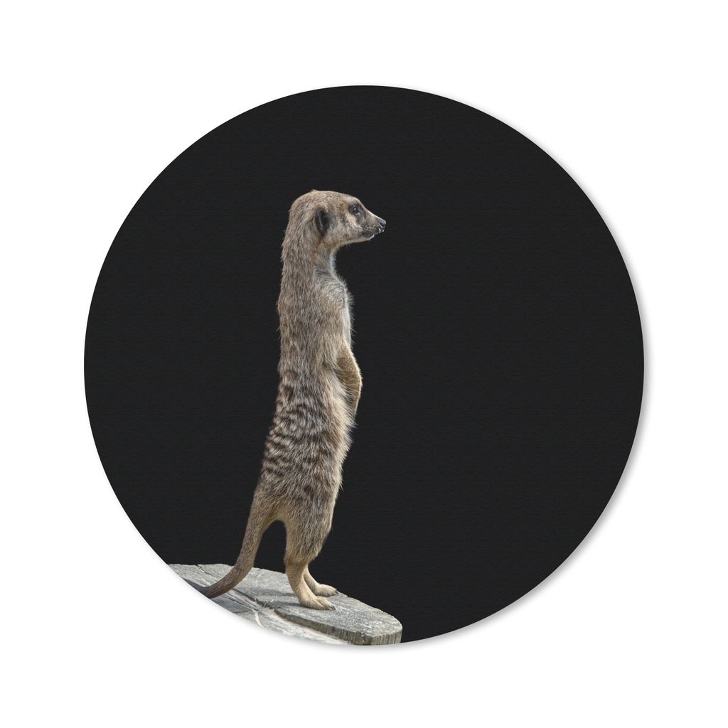 MuchoWow Mauspad Mousepad Erdmännchen - Wilde Tiere - Schwarz 20x20 cm - Mousepads - Maus Mat - Pad - Mausunterlage - Schreibtischmatte