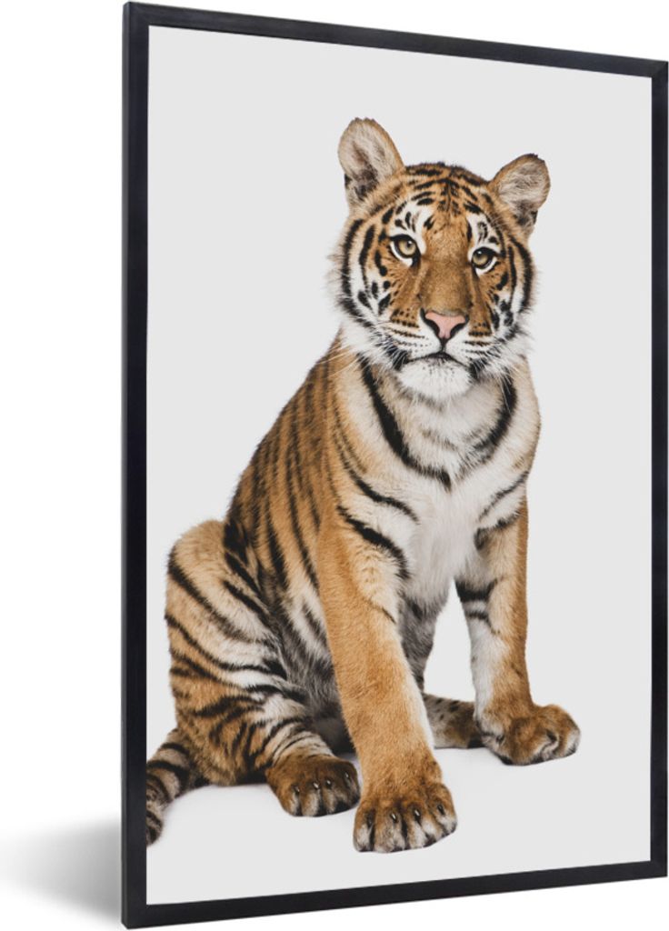 MuchoWow Gerahmtes Poster Tiger - Tiere - Weiß - Jungen - Kinder 60x90 cm - Poster mit Schwarzem Bilderrahmen Wandposter Rahmen Foto Bilder - Kunst