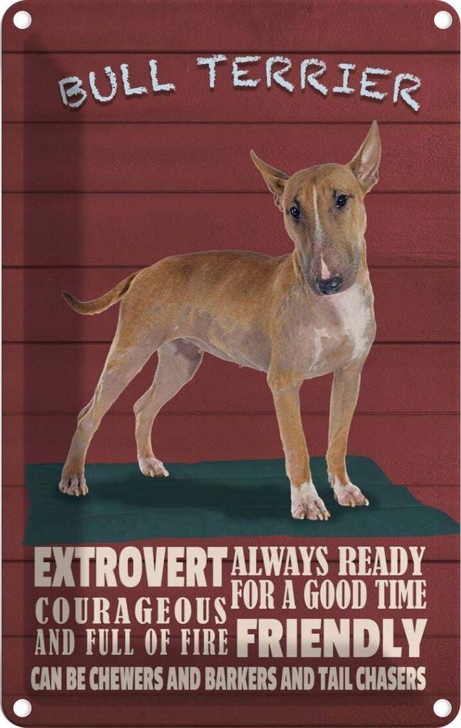 vianmo Blechschild 18x12 cm Bullterrier Hund always ready Tier Haustier