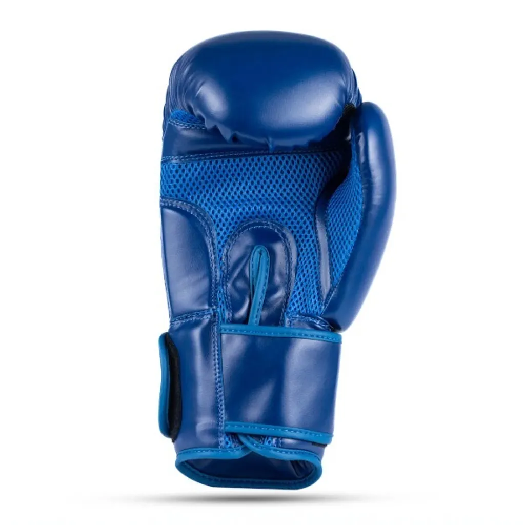 Gants de boxe avec protection poignet DBX BUSHIDO ARB-407-Blue 10oz