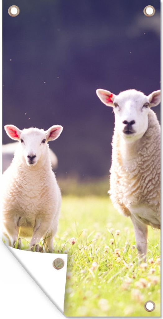 MuchoWow 30x60 cm Outdoor-Poster Gartendeko Sichtschutz Garten Poster für den Garten Schaf - Lamm - Blumen