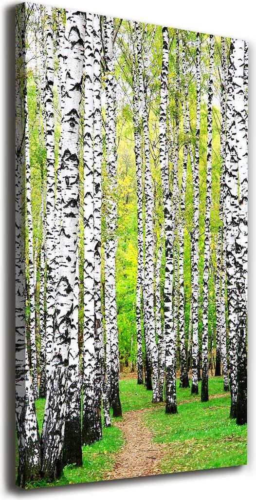 Tulup Leinwandbild - 70x140cm - Wandkunst - Drucke auf Leinwand - Leinwanddruck - Wohnzimmer Wanddekoration XXL - Wohnung Deko Kunstdrucke - Land...