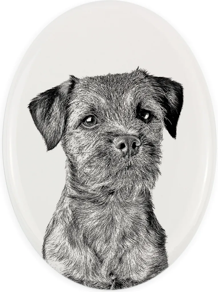 Art-Dog Targa Ovale Border Terrier: Lapide Canina Alta Resistenza