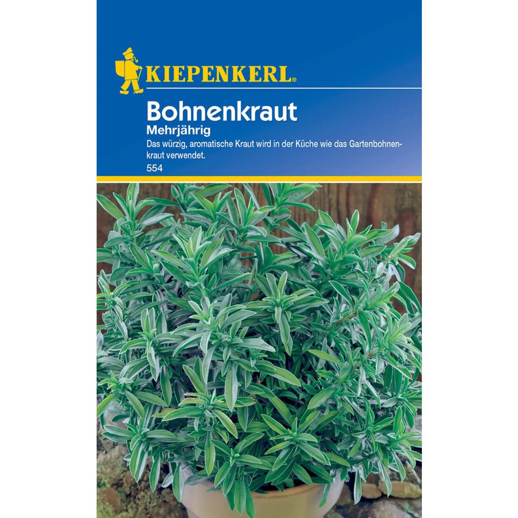 Kiepenkerl Bohnenkrautsamen, mehrjährig Produktbild 
