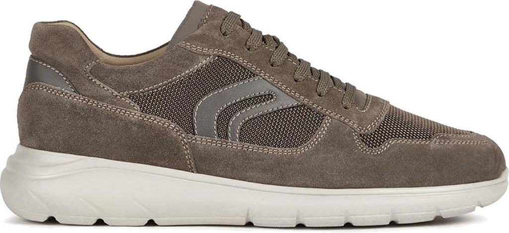Geox Sestiere Herren Sneaker in Gr. 44