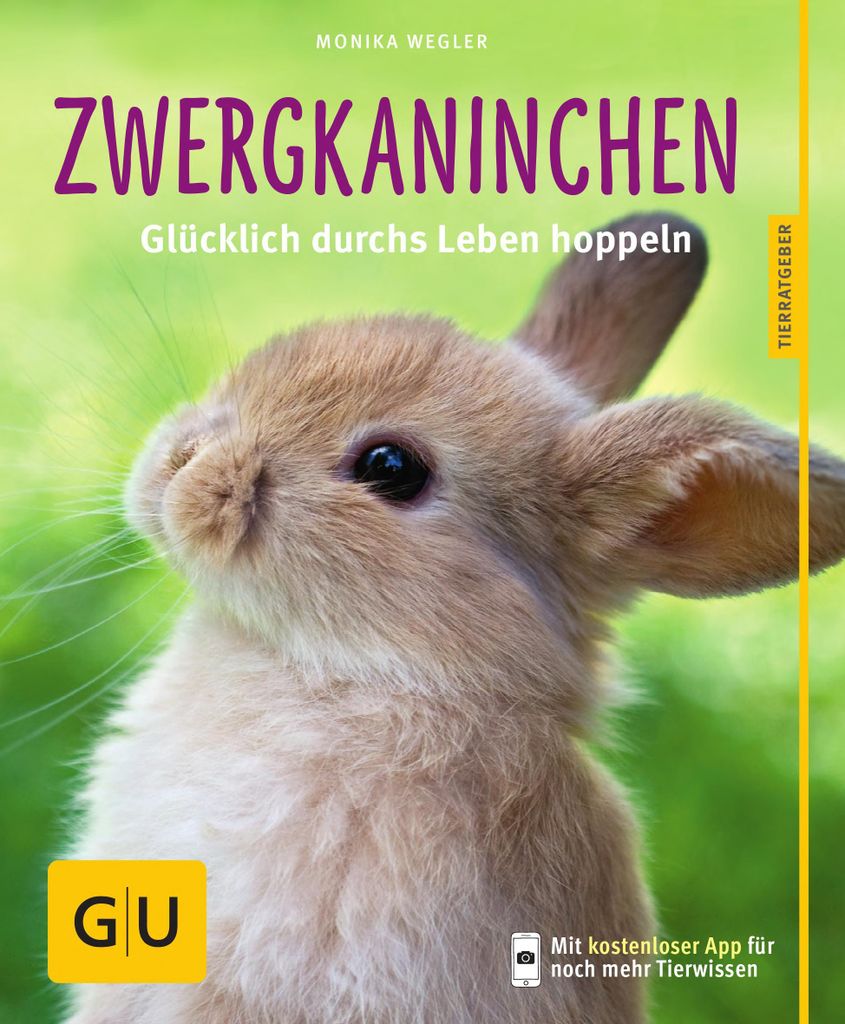 Zwergkaninchen Produktbild 