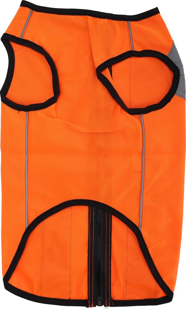 Pet Night Safety Clothing Leuchtt