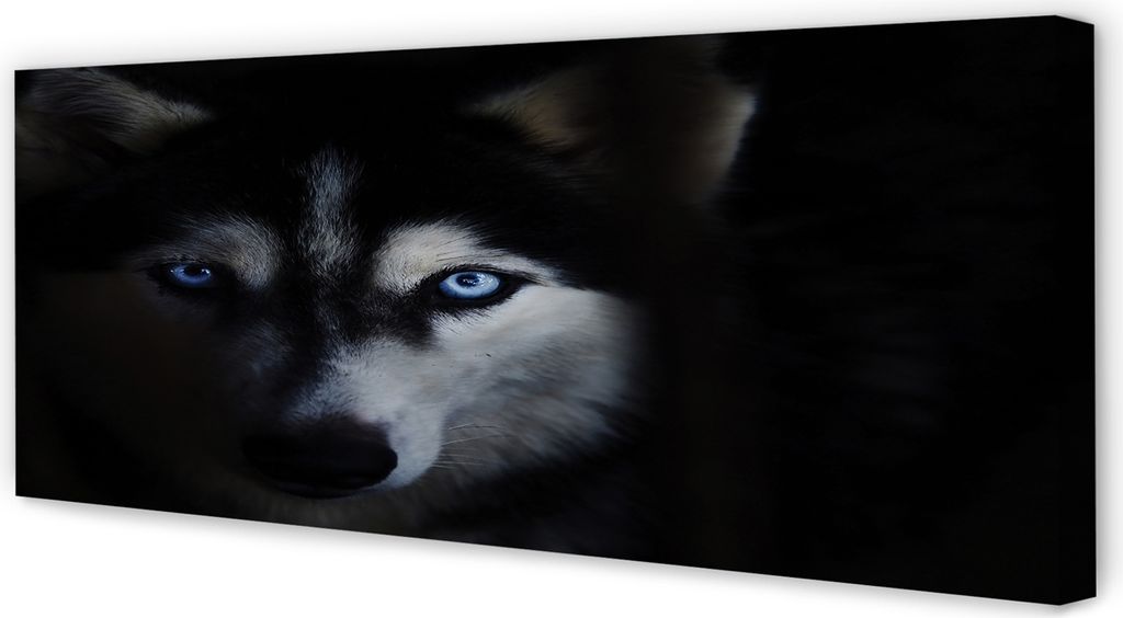 Leinwandbild 125x50 Wandkunst Wolf Augen