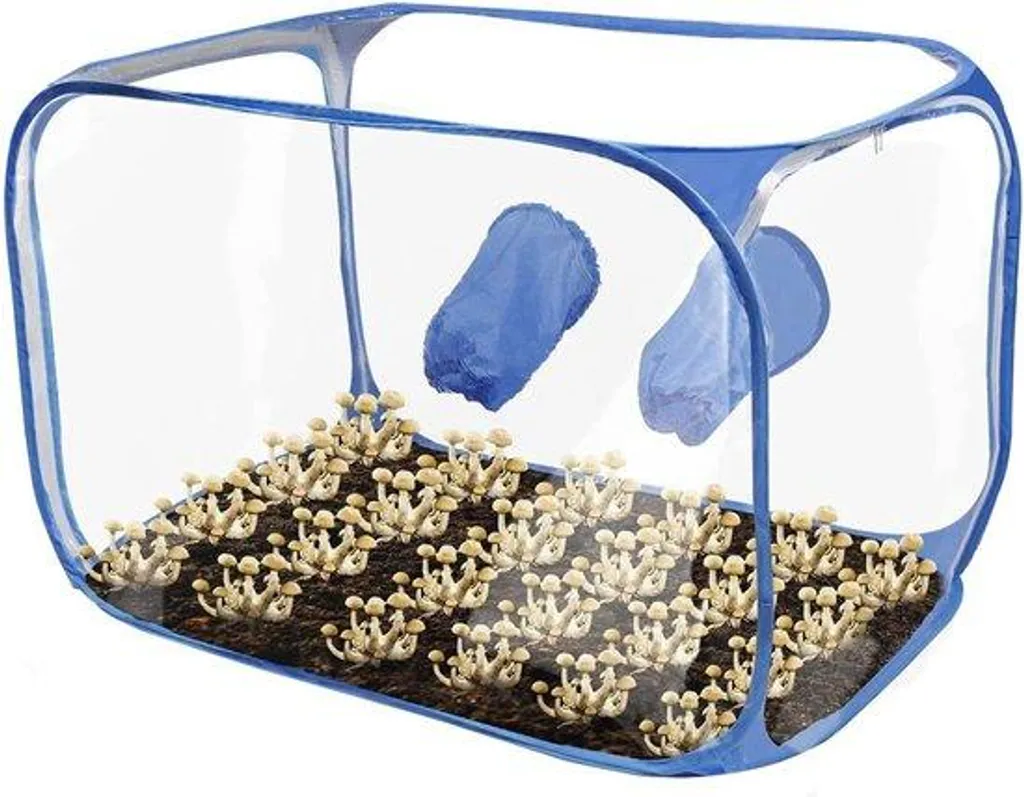 Still Air Box pour culture de champignons et clonage de mycélium propre