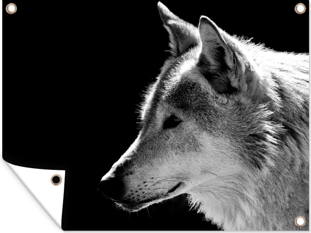 MuchoWow 120x90 cm Outdoor-Poster Gartendeko Sichtschutz Garten Poster für den Garten Wildlife - Wolf - Schwarz - Weiß