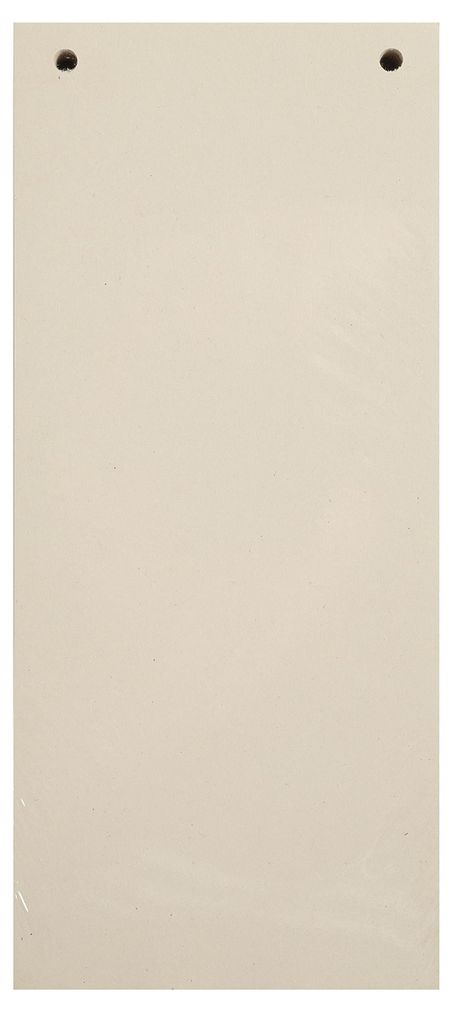 Exacompta 100er Pack Trennstreifen Karton 10,5 x 24 cm Produktbild 