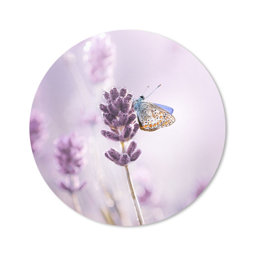 MuchoWow Mauspad Mousepad Lavendel - Schmetterling - Nahaufnahme - Lila 40x40 cm - Mousepads - Maus Mat - Pad - Mausunterlage - Schreibtisch Acce...