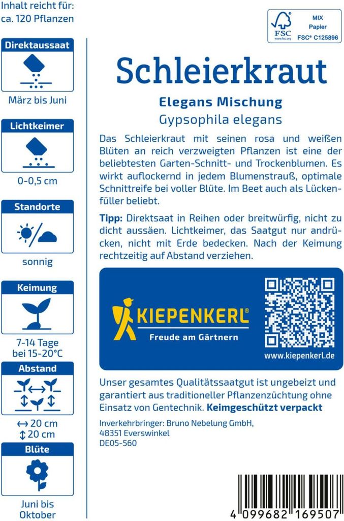 Kiepenkerl Schleierkrautsamen Elegans 120 Pflanzen