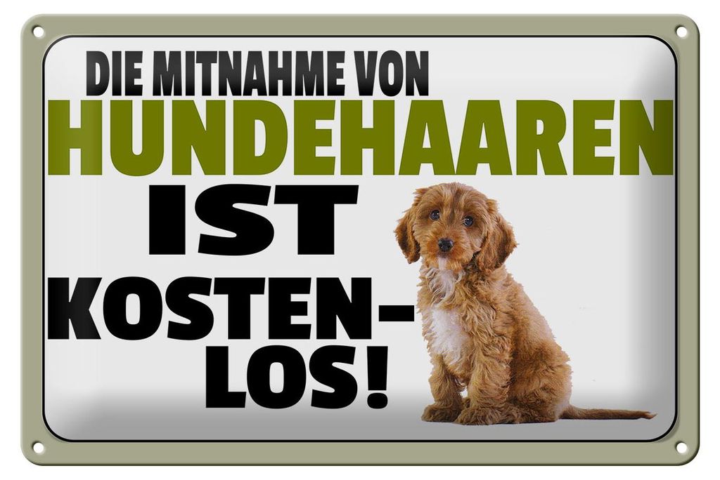 Blechschild Spruch 30x20cm Mitnahme Hundehaaren Produktbild 