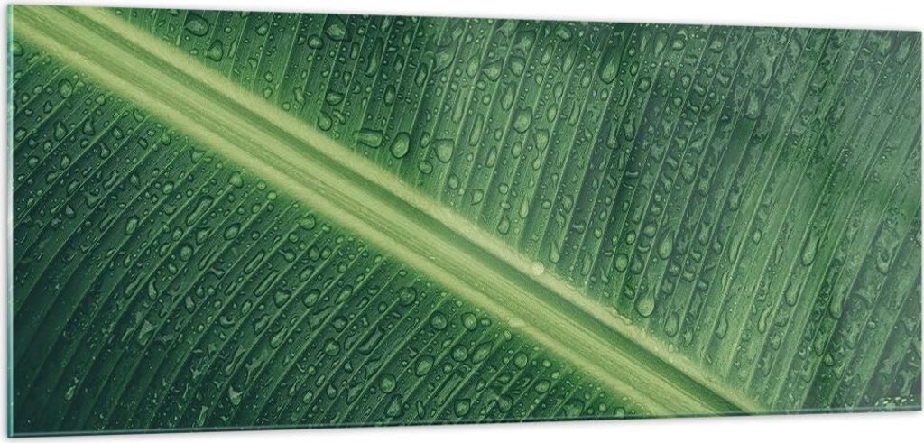 Bilder auf glas - Einteilig - Makro Blatt Tropfen - 100x40cm - Glasbilder - Wandbilder - Bilder - zum Aufhängen bereit - Wanddekoration aus Glas -...