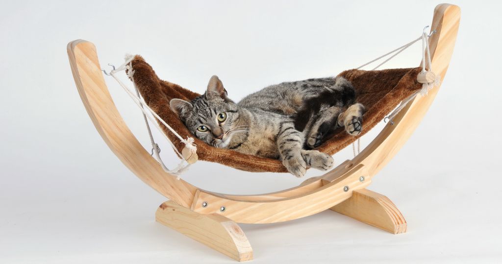 Silvio Design - Cat Relax braun - Maße (LxBxH) in cm: 70 x Produktbild 