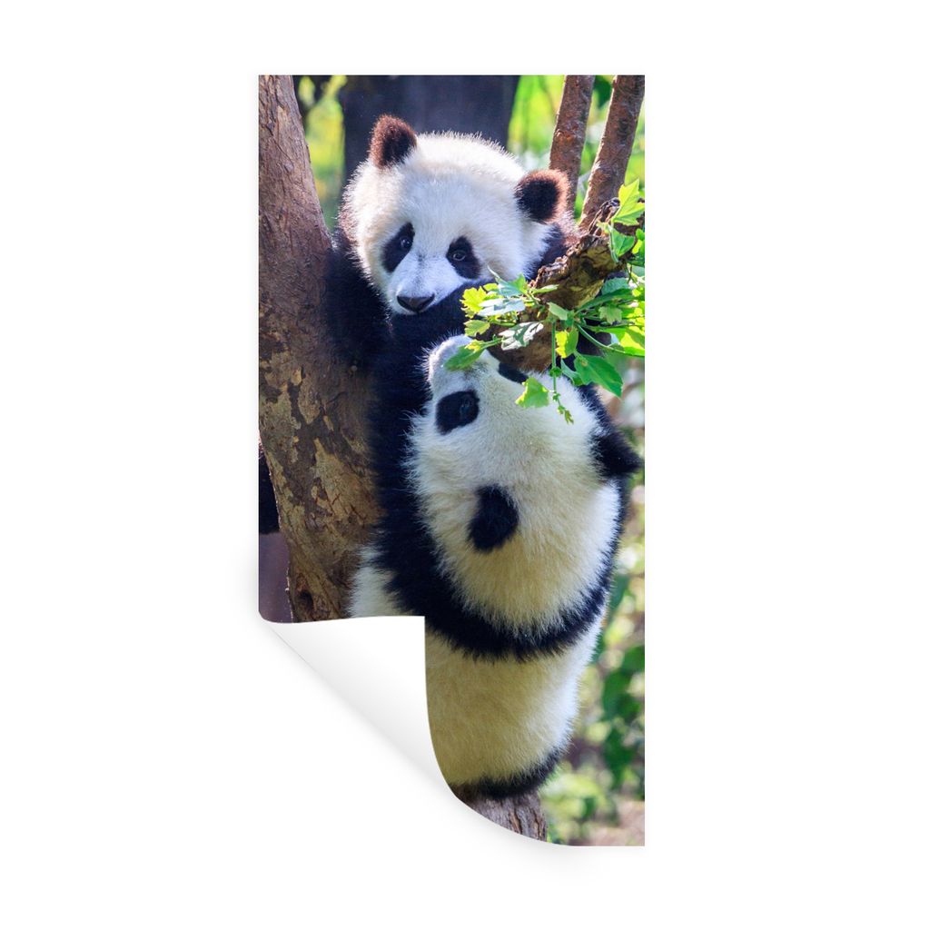 MuchoWow Wandtattoo Wandsticker Wandaufkleber Pandas - Baum - Natur 20x40 cm Selbstklebend und Repositionierbar - Selbstklebend - Fototapeten