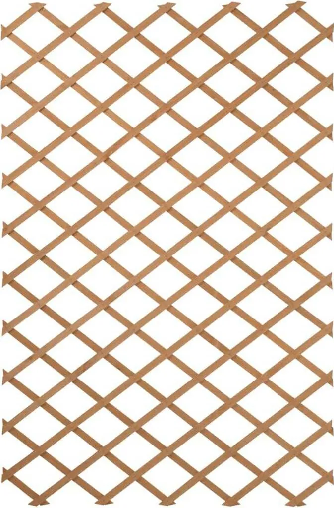 Support plantes grimpantes 100x300 cm treillis bois marron pour terrasse