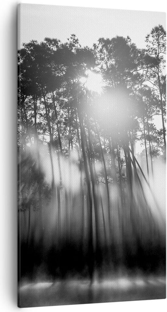 Bild auf Leinwand - Leinwandbild - Einteilig - Wald Kiefer Sonne - 55x100cm - Wand Bild - Wanddeko - Wandbilder - Leinwanddruck - Bilder - Wanddeko...