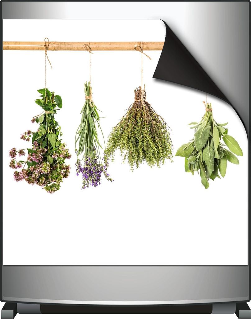 Wallario Magnet für Kühlschrank / Geschirrspüler, magnetisch haftende Folie - 60 x 60 cm, Motiv: Verschiedene Kräuter an der Leine