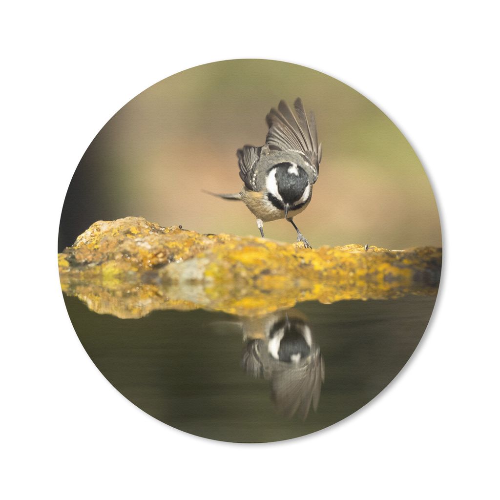 MuchoWow Mauspad Mousepad Eine Kohlmeise am Wasser 40x40 cm - Mousepads - Maus Mat - Pad - Mausunterlage - Schreibtisch Accessoires