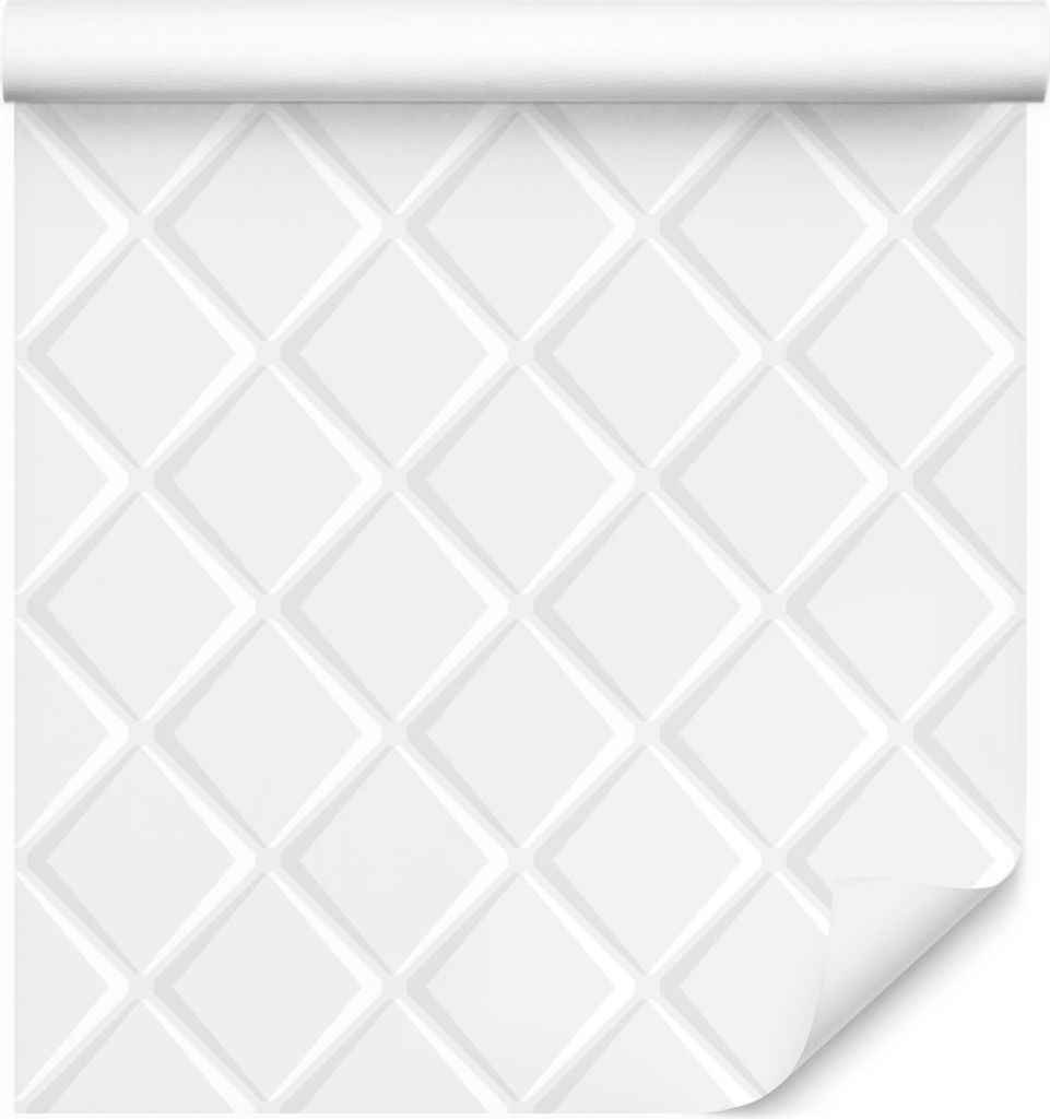 10m VLIES TAPETE Rolle 3D Effekt Minimalismus Muster Geometrie XXL