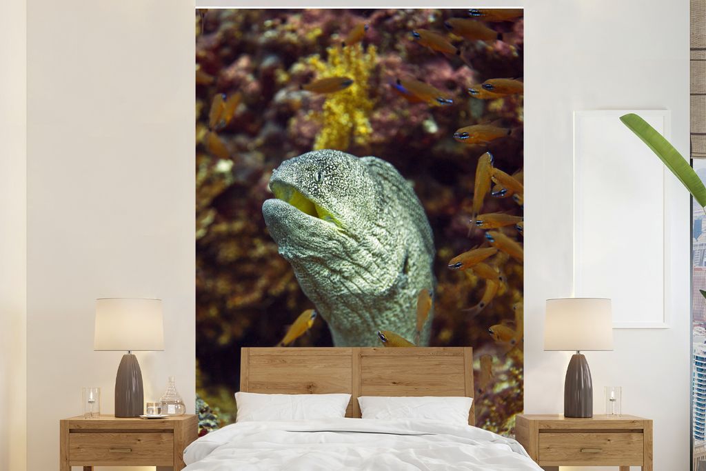 MuchoWow Fototapete für Wohnzimmer oder Schlafzimmer Wandtapete Vinyl Motivtapete Fische - Korallen - Ozean - 170x260 cm - Wohnzimmertapete