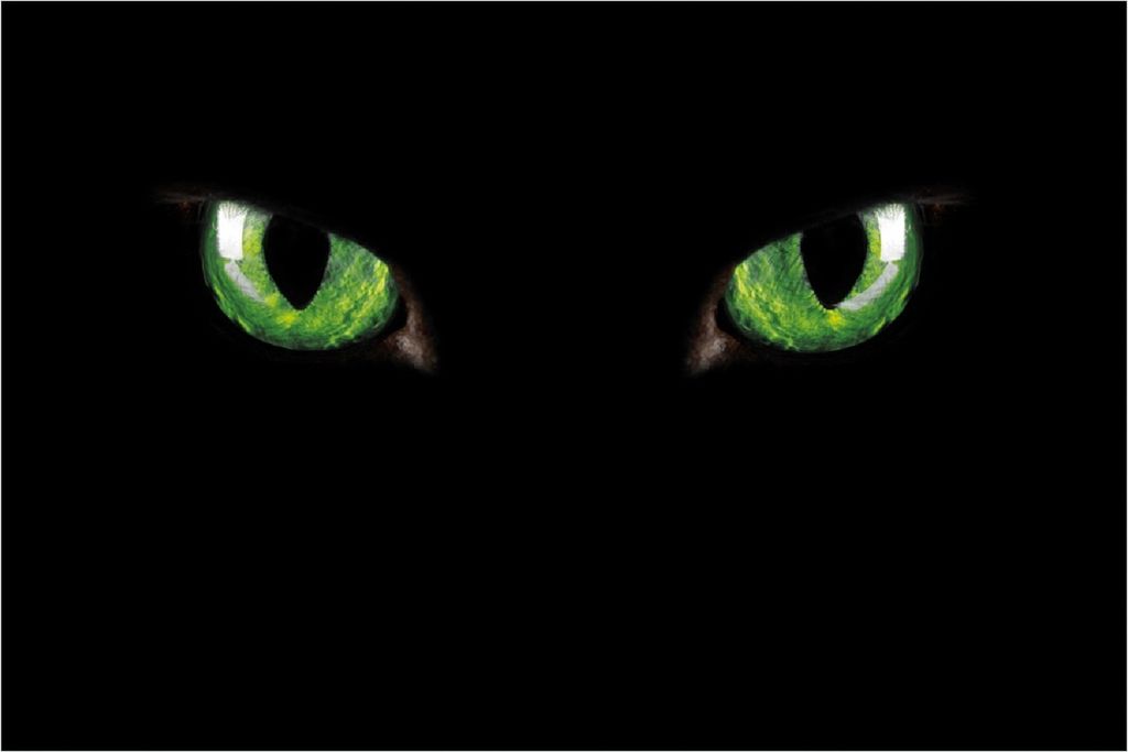 Wallario Poster - Grüne Katzenaugen bei Nacht, Kunstdruck Größe: 61 x 91,50 cm