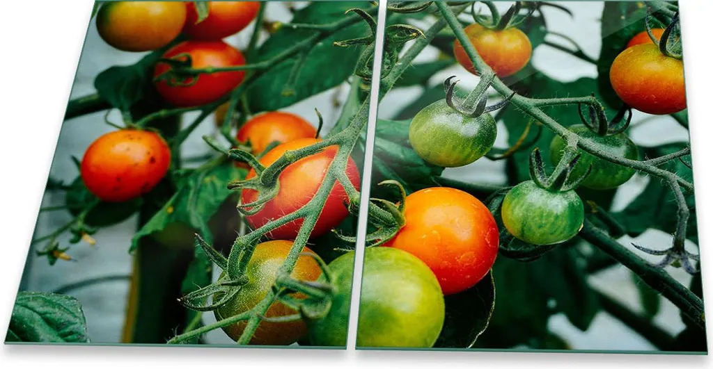 Piastra Copri Piano Cottura Vetro 2 Pezzi 40x52 Verde Vegetale