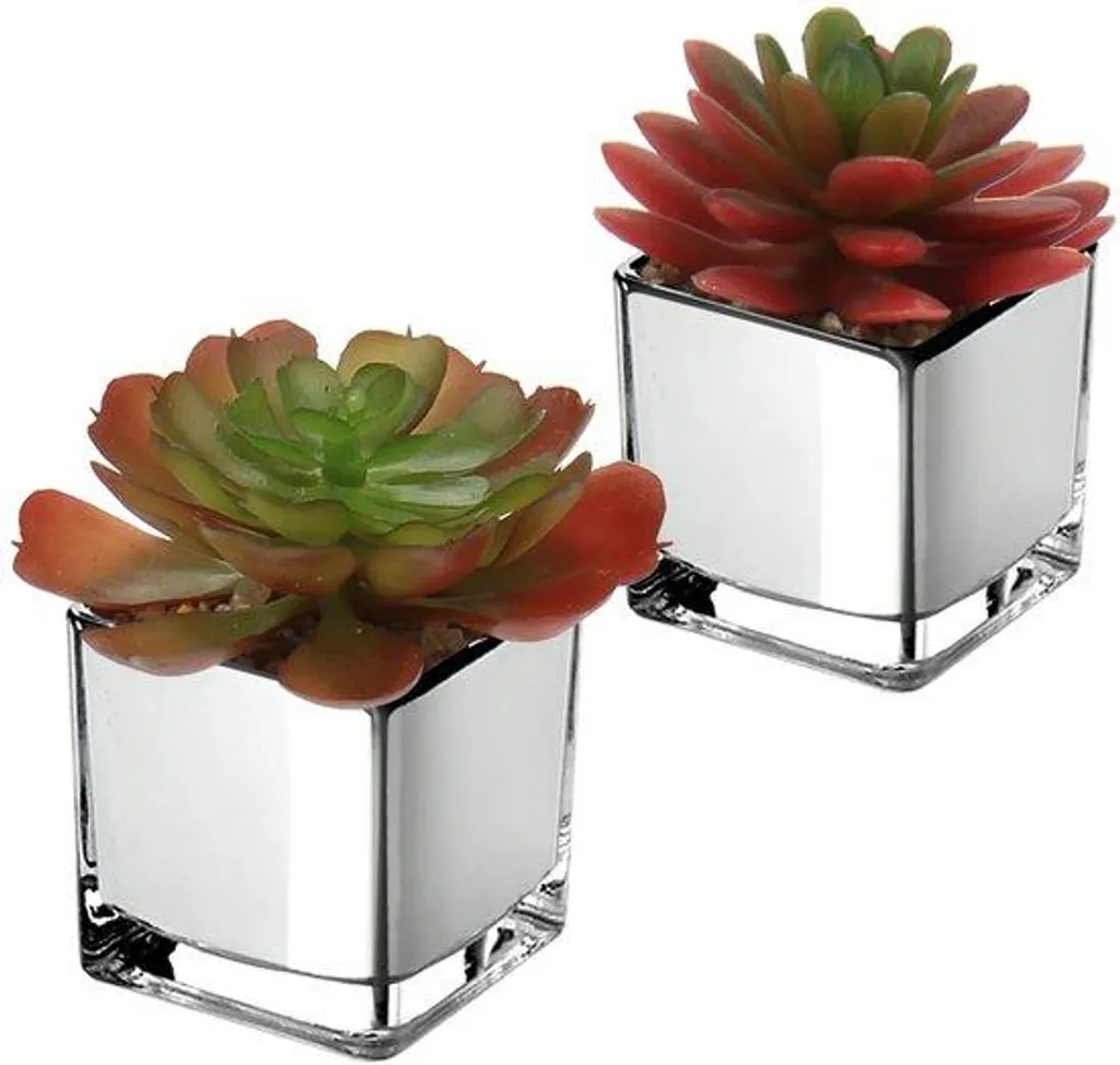 Mini plante grasse artificielle en contenant de verre design moderne