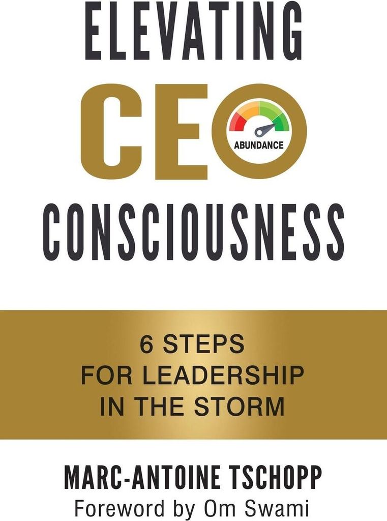 Elevating Ceo Consciousness