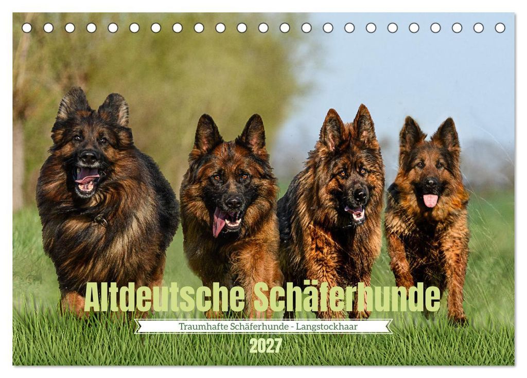 Altdeutsche Schäferhunde - Traumhafte Schäferhunde Langstockhaar (Tischkalender 2027 DIN A5 quer), CALVENDO Monatskalender