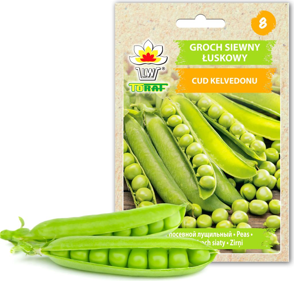 Schalerbse Sechs Wochen Altes Saatgut 50G Schnelle Ernte