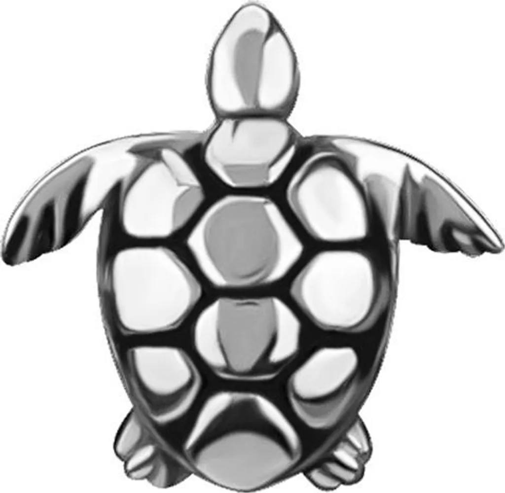 Capuchon à visser Push-In Tortue Argent PI-033 pour Valve de Pneu