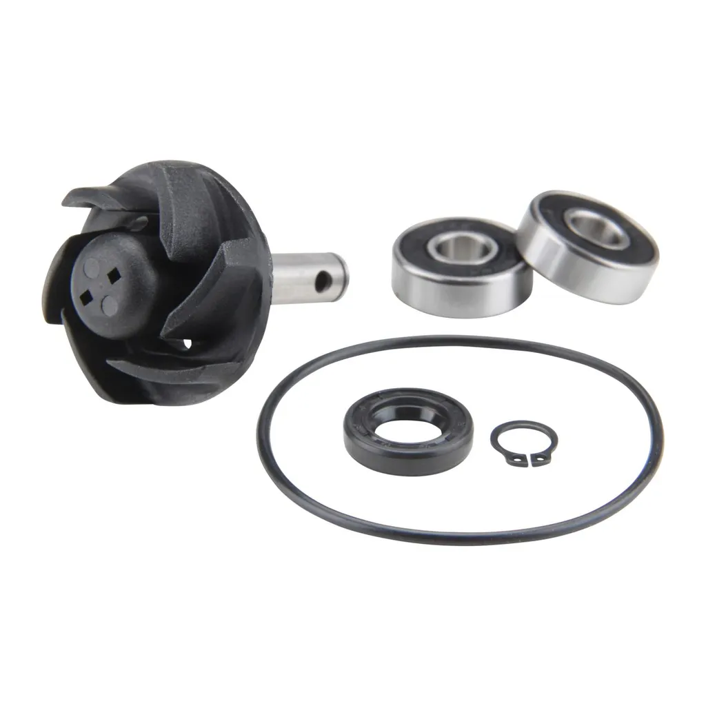 2 Bobines Citomerx haute performance pour Suzuki Bandit GSF 1200 600