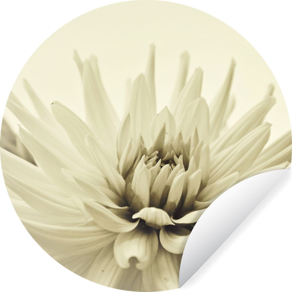 MuchoWow Runde Wandtattoo - Wandsticker Tapete Aufkleber Weiße Dahlienblüte Sepia-Fotodruck Ø 80 cm Selbstklebend und Repositionierbar - Wanda...