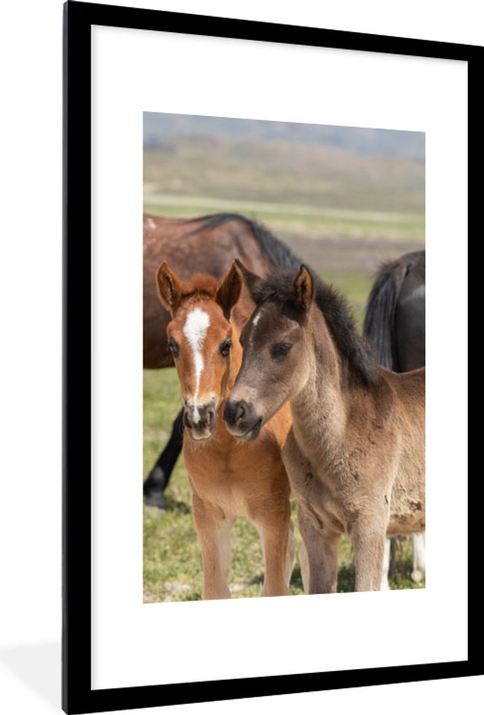 MuchoWow MuchoWow Gerahmtes Poster Pferde - Tiere - Vlies - Wiese 60x90 cm - Poster mit zchwarzem Bilderrahmen - Dekoration - Wandposter Wohnzi...