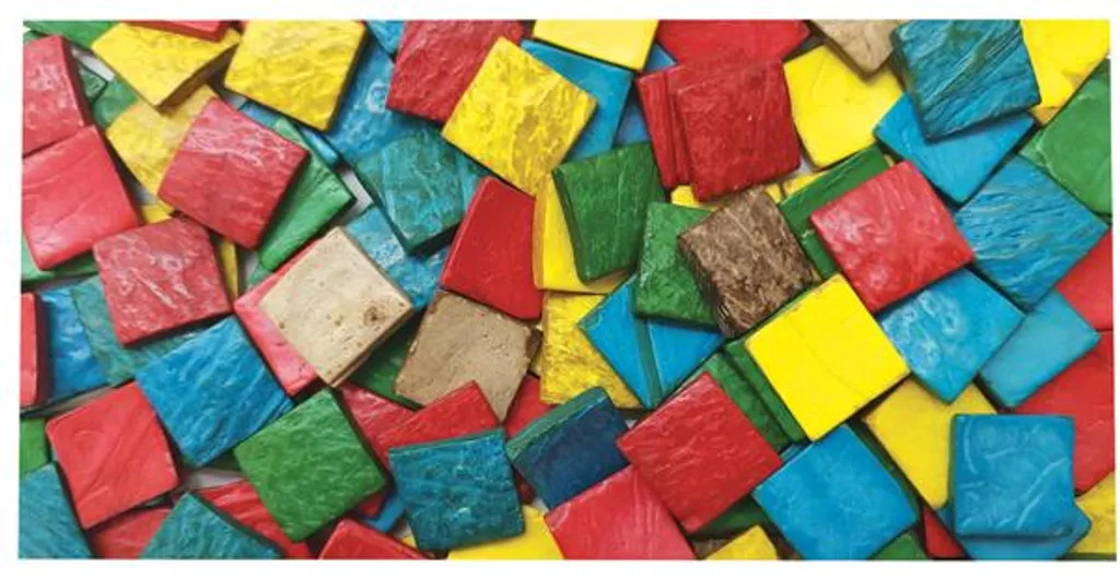 Coques de noix de coco multicolores EDUPLAY : set créatif naturel 150g